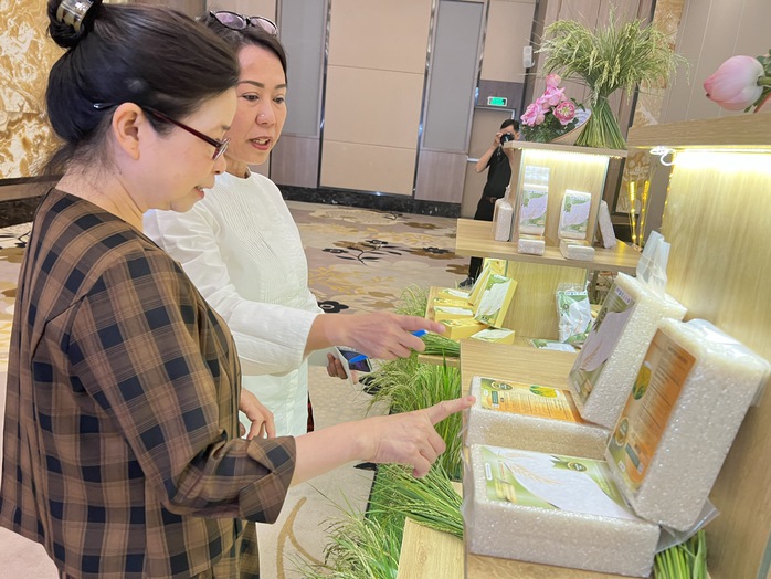 Một doanh nghiệp tham gia Dự án TRVC trưng bày gạo tại lễ trao giải vụ hè thu 2024 Một doanh nghiệp tham gia Dự án TRVC trưng bày gạo tại lễ trao giải vụ hè thu 2024