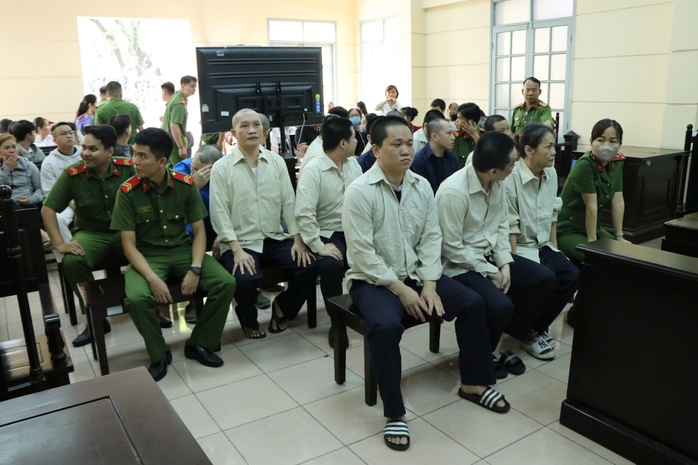 Đường dây ma túy Trịnh Thị Hòa: Người mẫu Đinh Nhikolai lãnh án- Ảnh 1.