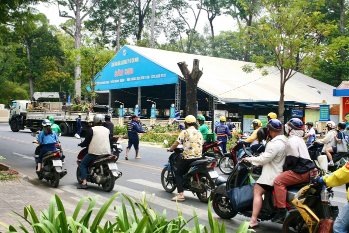 Một cây liêm xẹt trên đường Nguyễn Thị Minh Khai bị đốn hạẢnh: ÁI MY Một cây liêm xẹt trên đường Nguyễn Thị Minh Khai bị đốn hạẢnh: ÁI MY