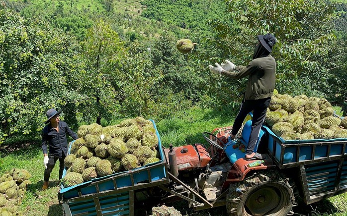 Tiểu đô thị sinh thái Khánh Sơn công bố quy hoạch, xúc tiến đầu tư- Ảnh 4. Tiểu đô thị sinh thái Khánh Sơn công bố quy hoạch, xúc tiến đầu tư- Ảnh 4.