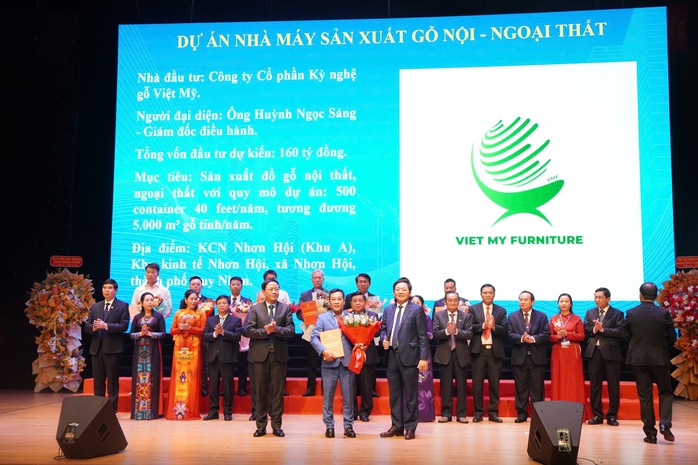 Hàng tỉ USD của nhà đầu tư sắp đổ về Bình Định- Ảnh 3.