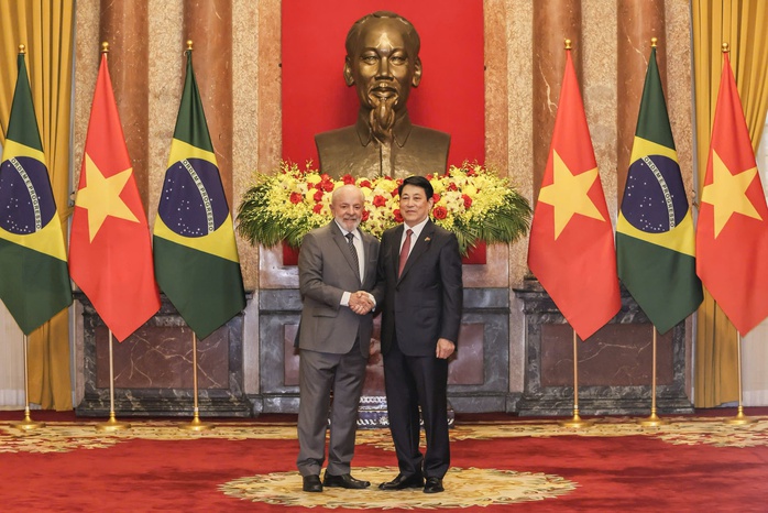 Chủ tịch nước Lương Cường hội đàm với Tổng thống Brazil- Ảnh 1.