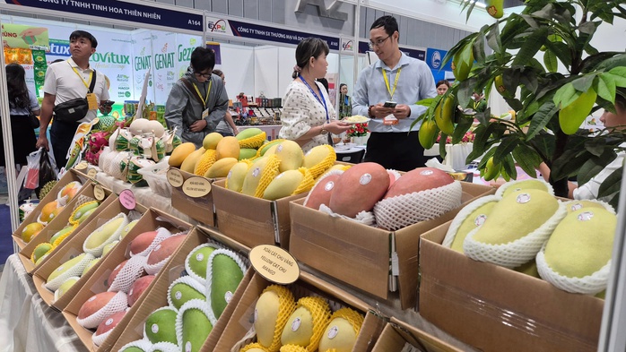 Xuất khẩu rau quả: Phải tính đường dài- Ảnh 1. Xuất khẩu rau quả: Phải tính đường dài- Ảnh 1.