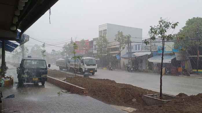 “Cơn mưa vàng” xuất hiện khắp các tỉnh, thành miền Tây- Ảnh 4. “Cơn mưa vàng” xuất hiện khắp các tỉnh, thành miền Tây- Ảnh 4.