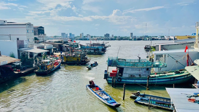 "Vượt sóng": Chuyện về thành phố 50 mùa hoa- Ảnh 1. "Vượt sóng": Chuyện về thành phố 50 mùa hoa- Ảnh 1.