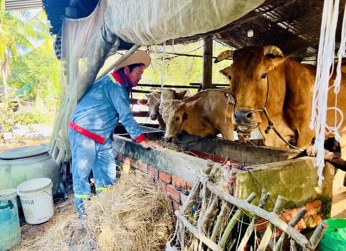 Không thấy triển vọng tương lai, nhiều lao động về quê lập nghiệp- Ảnh 3. Không thấy triển vọng tương lai, nhiều lao động về quê lập nghiệp- Ảnh 3.