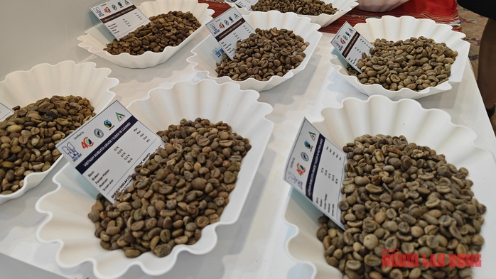 Giá cà phê hôm nay 5-3: Tăng nóng, có thể lập đỉnh 135.000 đồng/kg- Ảnh 1. Giá cà phê hôm nay 5-3: Tăng nóng, có thể lập đỉnh 135.000 đồng/kg- Ảnh 1.