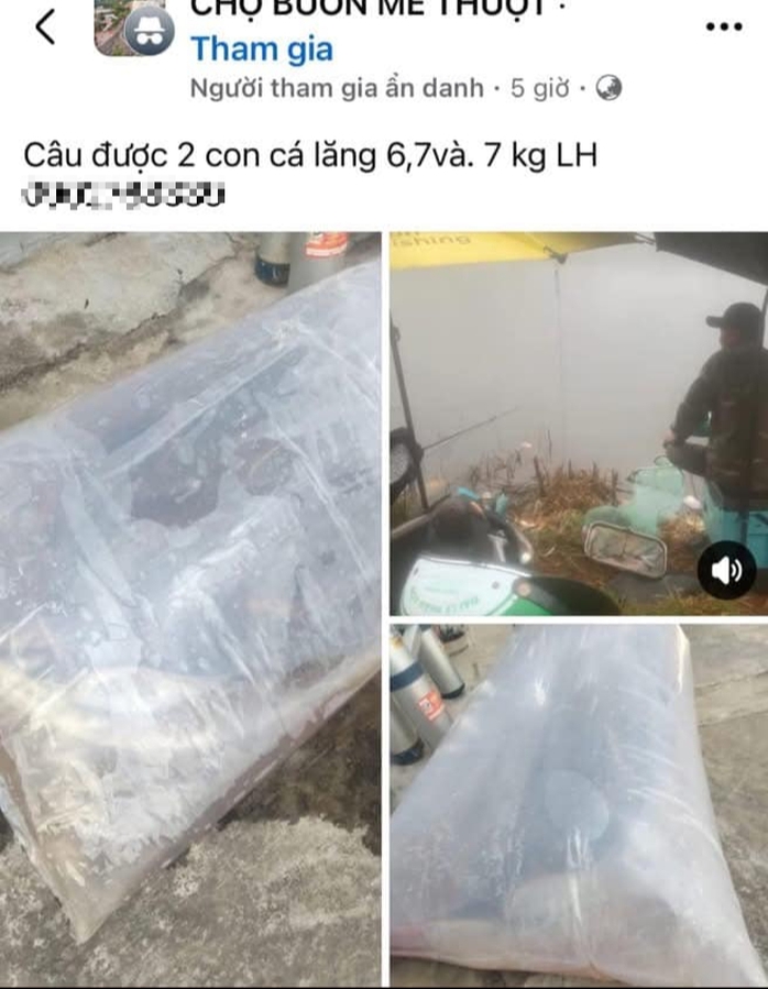Xôn xao câu chuyện "lòng tham" của người đàn ông đi xe con và 2 con cá bị rơi- Ảnh 2. Xôn xao câu chuyện "lòng tham" của người đàn ông đi xe con và 2 con cá bị rơi- Ảnh 2.
