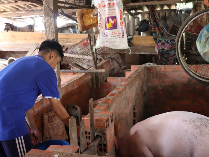 VIDEO: Ý chí của nam sinh lớp 11 ở Cà Mau- Ảnh 10. VIDEO: Ý chí của nam sinh lớp 11 ở Cà Mau- Ảnh 10.