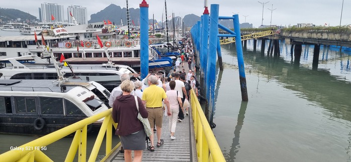 Tàu du lịch cạnh tranh bát nháo trên vịnh Hạ Long- Ảnh 1. Tàu du lịch cạnh tranh bát nháo trên vịnh Hạ Long- Ảnh 1.