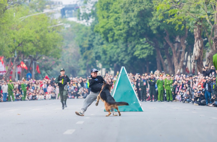 Mãn nhãn với màn trình diễn kỵ binh, cảnh khuyển trấn áp tội phạm bên hồ Gươm- Ảnh 12. Mãn nhãn với màn trình diễn kỵ binh, cảnh khuyển trấn áp tội phạm bên hồ Gươm- Ảnh 12.