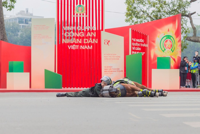 Mãn nhãn với màn trình diễn kỵ binh, cảnh khuyển trấn áp tội phạm bên hồ Gươm- Ảnh 9. Mãn nhãn với màn trình diễn kỵ binh, cảnh khuyển trấn áp tội phạm bên hồ Gươm- Ảnh 9.