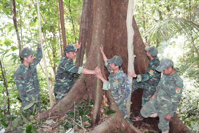 Sông Thanh rừng đã hồi sinh- Ảnh 1. Sông Thanh rừng đã hồi sinh- Ảnh 1.