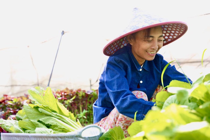 Bà Nguyễn Thị Thoan bên luống rau mới trồng Bà Nguyễn Thị Thoan bên luống rau mới trồng