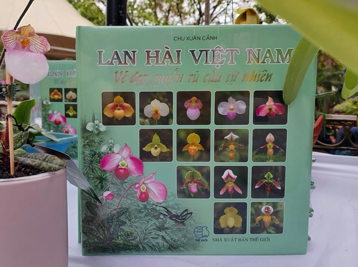 "Kỳ nhân" dành 12 năm viết sách về lan hài Việt Nam- Ảnh 4. "Kỳ nhân" dành 12 năm viết sách về lan hài Việt Nam- Ảnh 4.