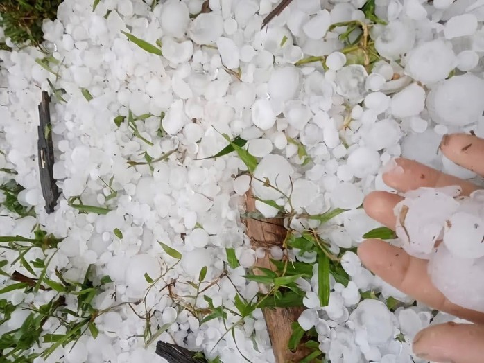 Kh&ocirc;ng kh&iacute; lạnh yếu tr&agrave;n xuống miền Bắc: Cảnh b&aacute;o lốc , s&eacute;t v&agrave; mưa đ&aacute; 2026 - Ảnh 1.