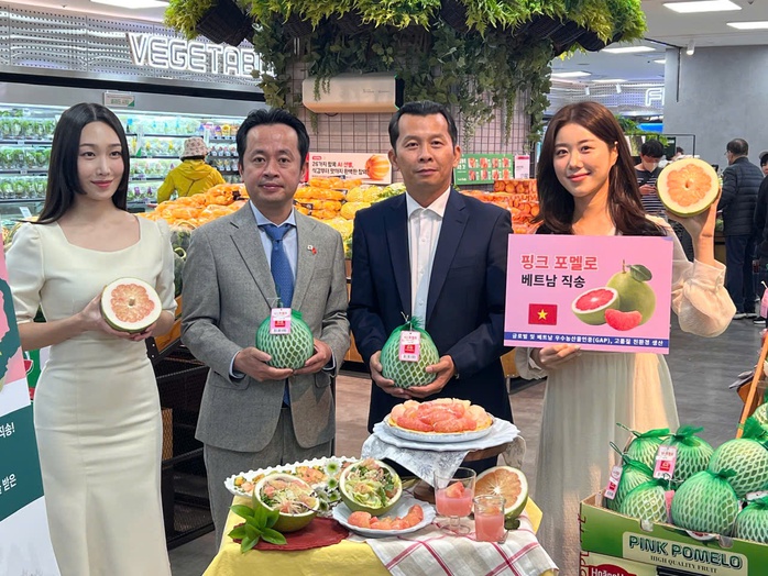Bất ngờ giá bưởi Việt Nam bán trên kệ siêu thị Hàn Quốc- Ảnh 1. Bất ngờ giá bưởi Việt Nam bán trên kệ siêu thị Hàn Quốc- Ảnh 1.