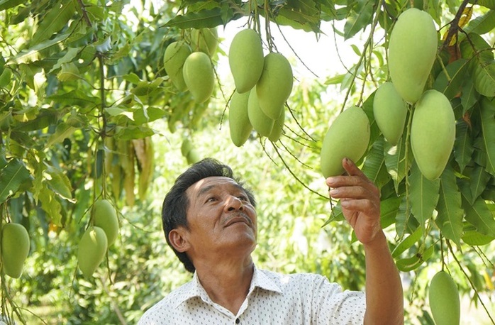 Hồi sinh những "vùng đất chết"- Ảnh 1. Hồi sinh những "vùng đất chết"- Ảnh 1.