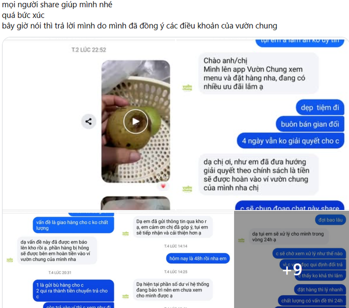 Bị tố bán hàng gian dối, Vườn Chung lên tiếng, tạm ngừng nhận đơn mới- Ảnh 1. Bị tố bán hàng gian dối, Vườn Chung lên tiếng, tạm ngừng nhận đơn mới- Ảnh 1.