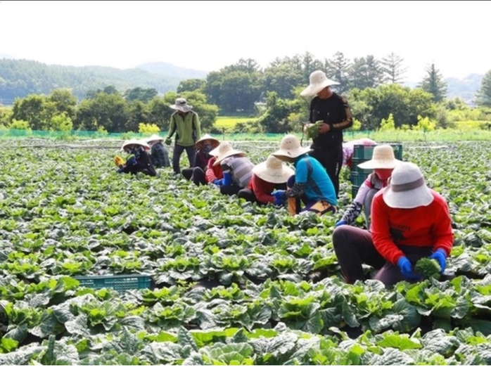 Thêm cơ hội cho lao động Việt Nam muốn làm việc tại Hàn Quốc lâu dài- Ảnh 2. Thêm cơ hội cho lao động Việt Nam muốn làm việc tại Hàn Quốc lâu dài- Ảnh 2.