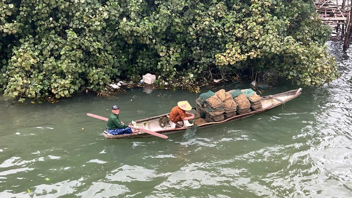 Giấc mơ trên phá Tam Giang- Ảnh 6. Giấc mơ trên phá Tam Giang- Ảnh 6.
