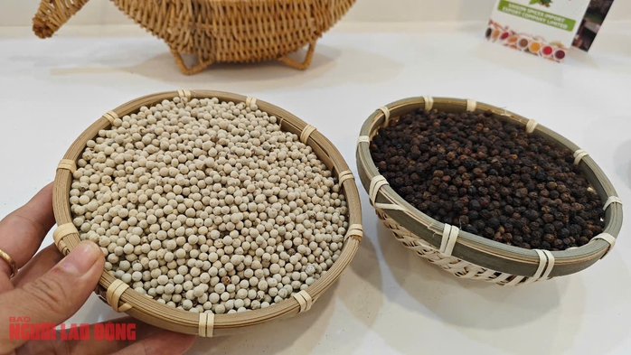 Giá tiêu hôm nay 12-4 tăng nóng, doanh nghiệp gom hàng xuất khẩu- Ảnh 1. Giá tiêu hôm nay 12-4 tăng nóng, doanh nghiệp gom hàng xuất khẩu- Ảnh 1.