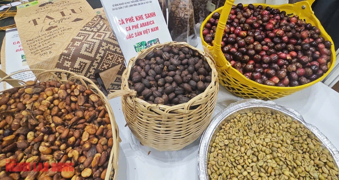 Giá cà phê hôm nay 13-4: Vượt bão thuế quan- Ảnh 1. Giá cà phê hôm nay 13-4: Vượt bão thuế quan- Ảnh 1.