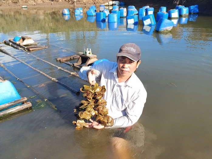 ThS Cao Văn Nguyện và mô hình nuôi vỗ béo trong ao có diện tích lớn ThS Cao Văn Nguyện và mô hình nuôi vỗ béo trong ao có diện tích lớn