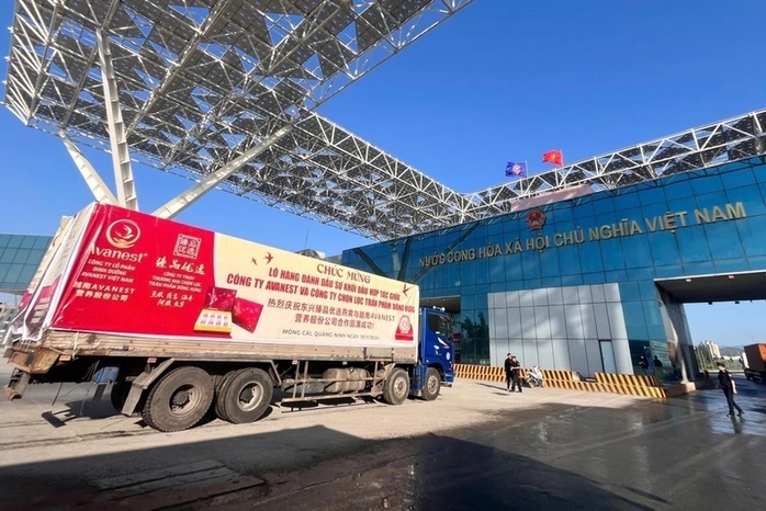 Hợp tác kinh tế - thương mại giữa Việt Nam và Trung Quốc có bước phát triển mạnh mẽ. Trong ảnh: Lô hàng tổ yến đầu tiên được xuất khẩu sang thị trường Trung Quốc qua lối thông quan cầu Bắc Luân II - Móng Cái (tỉnh Quảng Ninh) tháng 11-2024 Ảnh: TTXVN Hợp tác kinh tế - thương mại giữa Việt Nam và Trung Quốc có bước phát triển mạnh mẽ. Trong ảnh: Lô hàng tổ yến đầu tiên được xuất khẩu sang thị trường Trung Quốc qua lối thông quan cầu Bắc Luân II - Móng Cái (tỉnh Quảng Ninh) tháng 11-2024 Ảnh: TTXVN