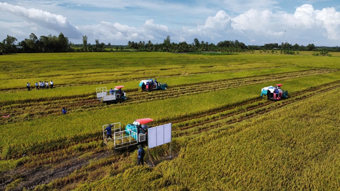 ĐBSCL cần thu hút đầu tư tư nhân và FDI vào nông nghiệp công nghệ cao để bứt phá ĐBSCL cần thu hút đầu tư tư nhân và FDI vào nông nghiệp công nghệ cao để bứt phá