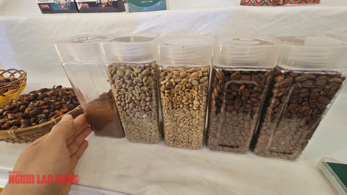Giá cà phê hôm nay 16-4: Tăng tiếp, như chưa hề có bão thuế quan- Ảnh 2. Giá cà phê hôm nay 16-4: Tăng tiếp, như chưa hề có bão thuế quan- Ảnh 2.
