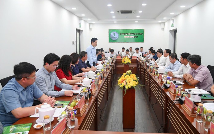 Lai Châu và VRG phối hợp phát triển cao su, nâng kinh tế vùng cao- Ảnh 2. Lai Châu và VRG phối hợp phát triển cao su, nâng kinh tế vùng cao- Ảnh 2.