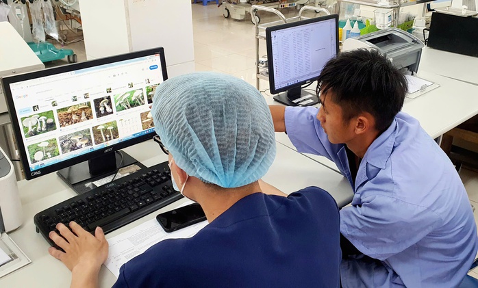 Vợ chồng trẻ hôn mê sau bữa cơm có nấm trắng- Ảnh 1. Vợ chồng trẻ hôn mê sau bữa cơm có nấm trắng- Ảnh 1.