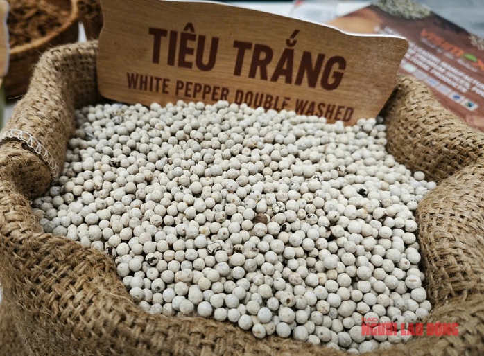 Giá tiêu hôm nay 19-4: Đi lùi, thị phần tại Mỹ giảm- Ảnh 1. Giá tiêu hôm nay 19-4: Đi lùi, thị phần tại Mỹ giảm- Ảnh 1.