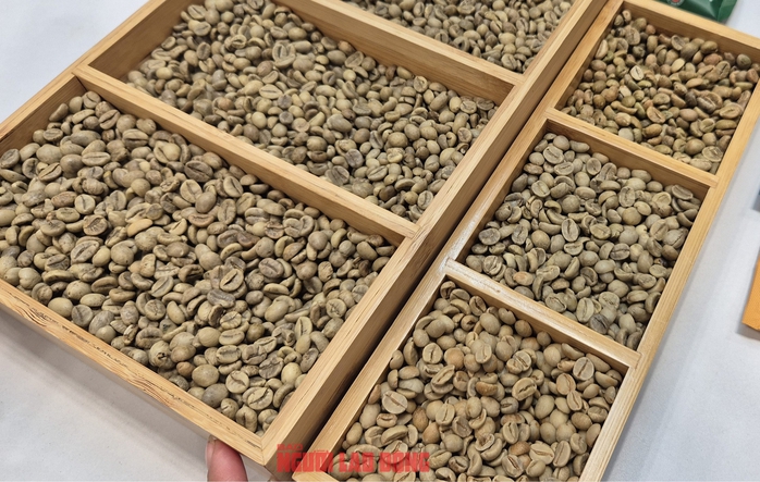Giá cà phê hôm nay 20-4: "Hàng giấy" lao dốc, hàng thực lập kỷ lục- Ảnh 1. Giá cà phê hôm nay 20-4: "Hàng giấy" lao dốc, hàng thực lập kỷ lục- Ảnh 1.