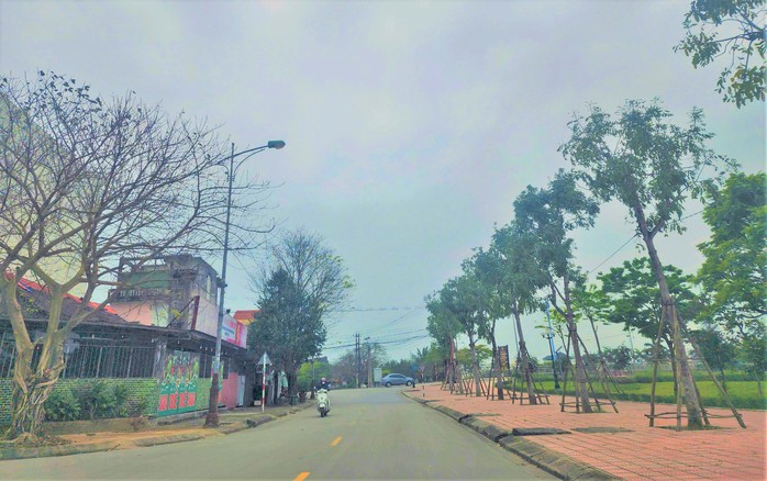 Quảng Bình: Khởi tố 22 bị can liên quan đến đại án Cây xanh Công Minh- Ảnh 2. Quảng Bình: Khởi tố 22 bị can liên quan đến đại án Cây xanh Công Minh- Ảnh 2.