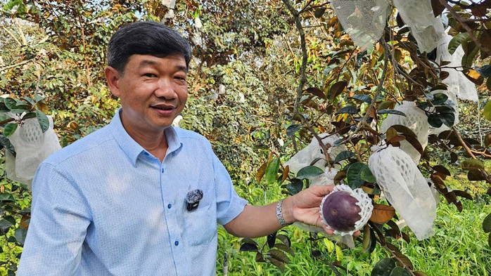 Ông Trần Anh Nhân đã phát triển thành công vùng sản xuất nông sản an toàn quy mô hơn 100 ha tại tỉnh Sóc Trăng Ông Trần Anh Nhân đã phát triển thành công vùng sản xuất nông sản an toàn quy mô hơn 100 ha tại tỉnh Sóc Trăng
