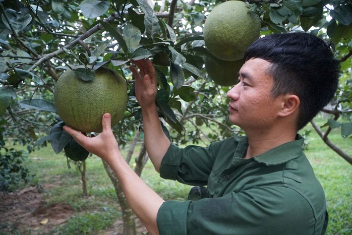 Anh Ngô Đình Tuấn trong trang trại của mình Anh Ngô Đình Tuấn trong trang trại của mình