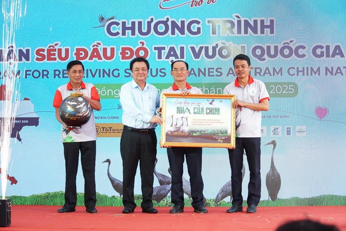Tỉnh Đồng Tháp cam kết mạnh mẽ về bảo tồn sếu đầu đỏ- Ảnh 7. Tỉnh Đồng Tháp cam kết mạnh mẽ về bảo tồn sếu đầu đỏ- Ảnh 7.