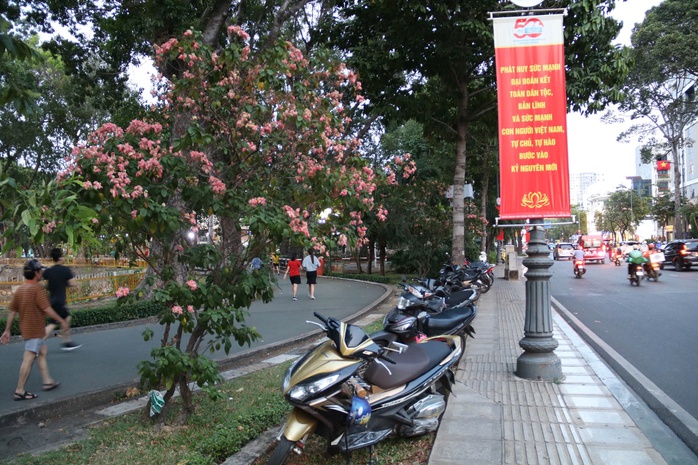 TP HCM ban hành loạt chỉ đạo về bãi xe, cây xanh, thu phí lòng đường - Ảnh 2.