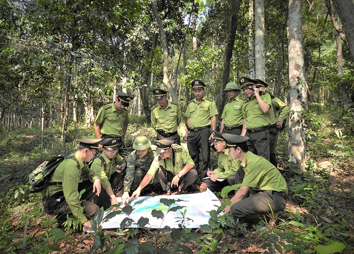 Không còn Kiểm lâm, ai đang gánh sứ mệnh giữ rừng Phong Nha - Kẻ Bàng?- Ảnh 1. Không còn Kiểm lâm, ai đang gánh sứ mệnh giữ rừng Phong Nha - Kẻ Bàng?- Ảnh 1.