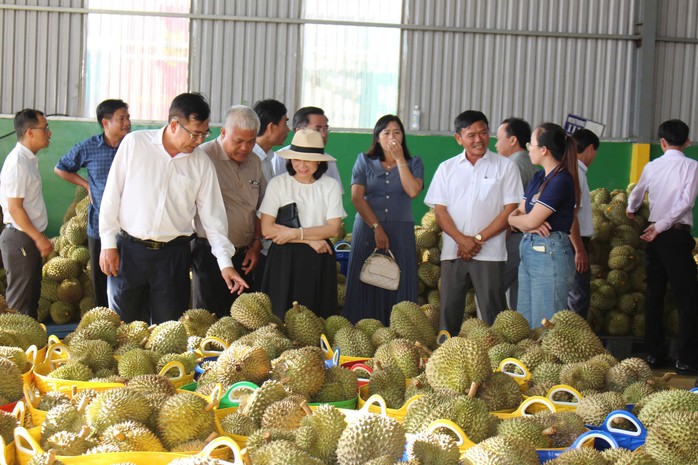 Phát triển sầu riêng trước yêu cầu cao của thị trường xuất khẩu- Ảnh 1. Phát triển sầu riêng trước yêu cầu cao của thị trường xuất khẩu- Ảnh 1.