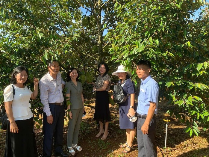 Phát triển sầu riêng trước yêu cầu cao của thị trường xuất khẩu- Ảnh 4. Phát triển sầu riêng trước yêu cầu cao của thị trường xuất khẩu- Ảnh 4.