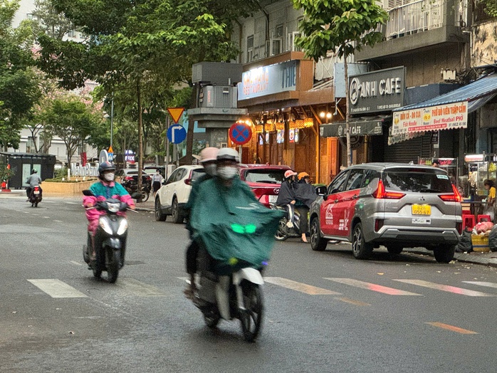 "Mưa vàng" trút xuống TP HCM- Ảnh 1. "Mưa vàng" trút xuống TP HCM- Ảnh 1.