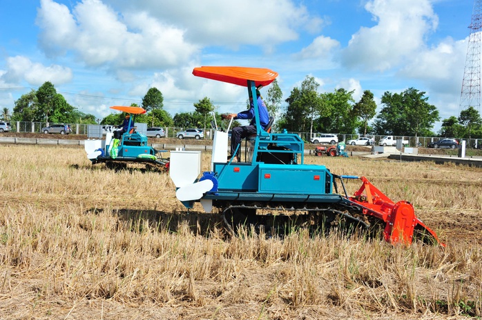 Gạo Việt xanh phát thải thấp- Ảnh 2. Gạo Việt xanh phát thải thấp- Ảnh 2.