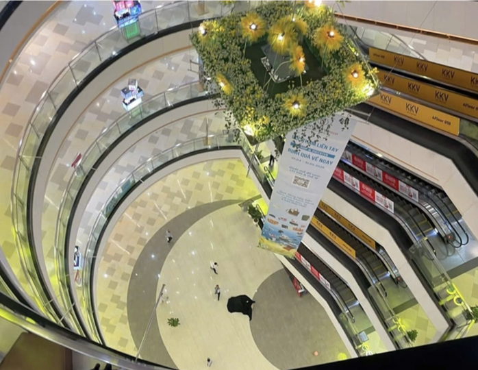 Hãy ngưng miệt thị người rơi lầu tại Vạn Hạnh Mall - Ảnh 1.