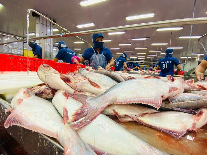 Quả ngọt từ liên kết tỉnh, vùng - Ảnh 4.