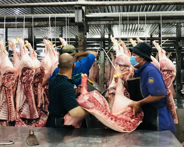 Giá heo hơi hôm nay 28-4: xu hướng ổn định, miền Nam giảm nhiệt - Ảnh 1.