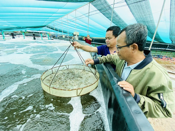 Nuôi tôm thân thiện với môi trường- Ảnh 2. Nuôi tôm thân thiện với môi trường- Ảnh 2.