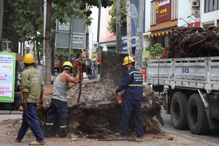 Bóng mát rút lui, TP HCM ngột ngạt giữa nắng hè đầu mùa- Ảnh 8. Bóng mát rút lui, TP HCM ngột ngạt giữa nắng hè đầu mùa- Ảnh 8.